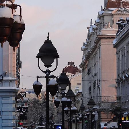 Cozy & Fully Equipped Studio In The Heart Of Downtown And Next To Kalemegdan Белград Экстерьер фото